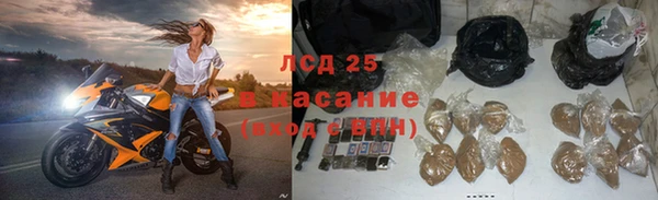 спайс Каменногорск