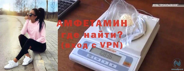 молекула духа Каменск-Шахтинский