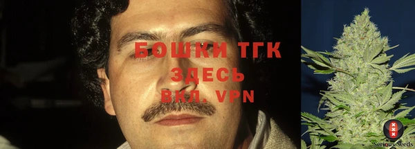 спайс Каменногорск