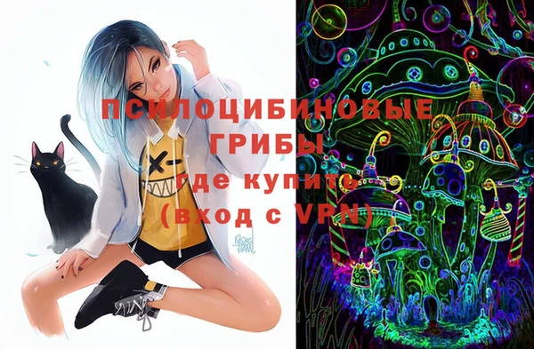 mdpv Каменка