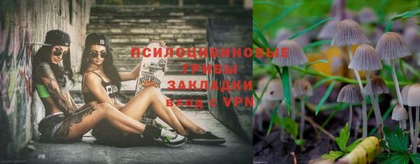спайс Каменногорск