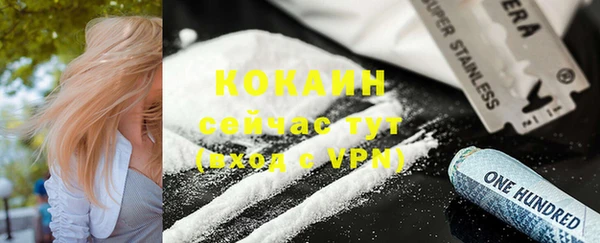 mdpv Каменка
