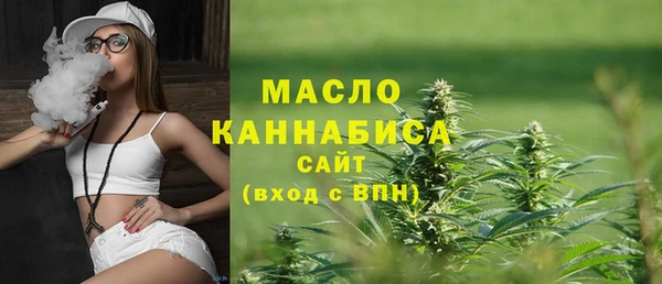 молекула духа Каменск-Шахтинский