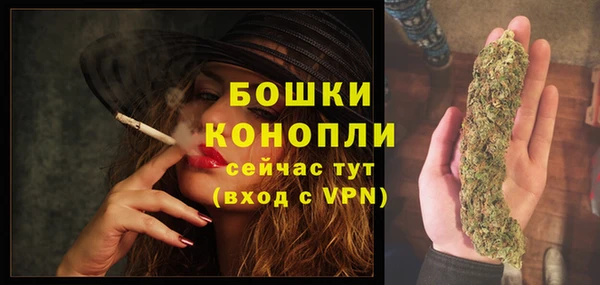 молекула духа Каменск-Шахтинский