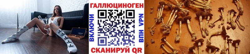 Галлюциногенные грибы GOLDEN TEACHER  как найти закладки  Ялуторовск 